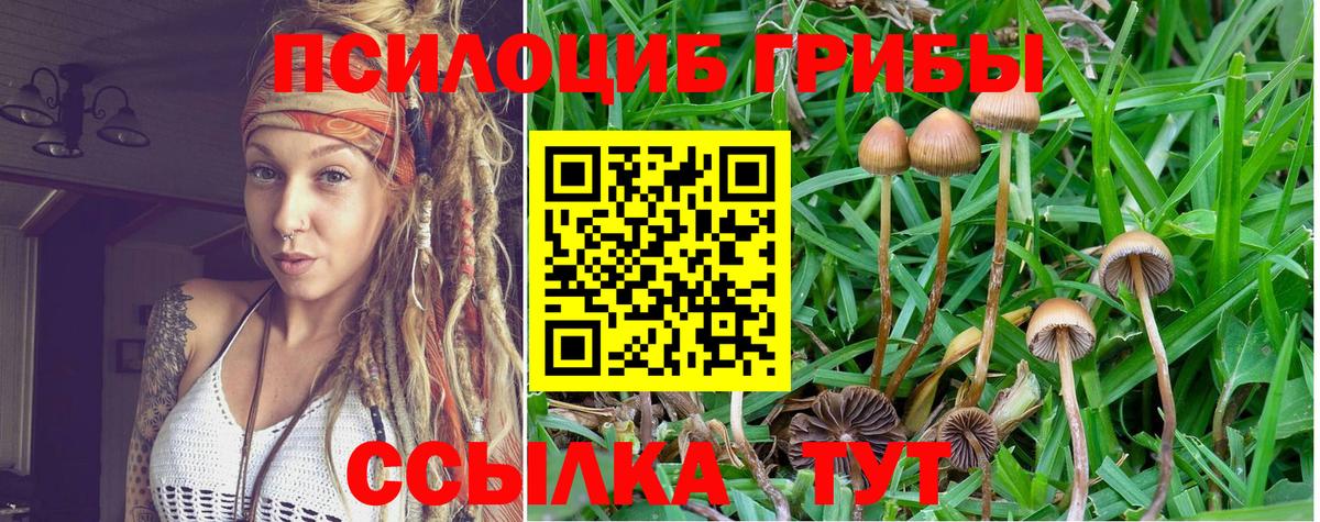 Галлюциногенные грибы мухоморы Курчатов